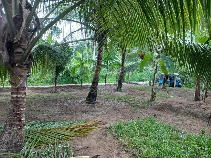 Land for sale - Veyangoda