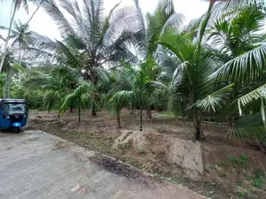 Land for sale - Veyangoda