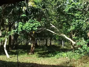 Land For Sale Isadeen Town Mathara