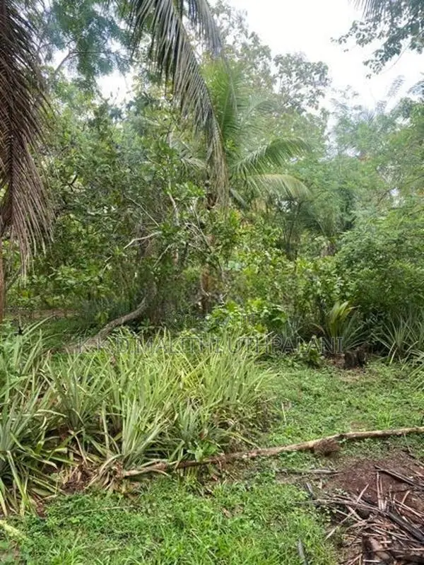 Land For Sale Isadeen Town Mathara