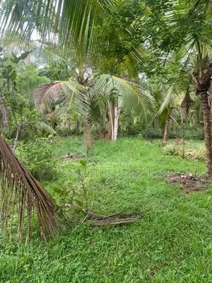 Land For Sale Isadeen Town Mathara