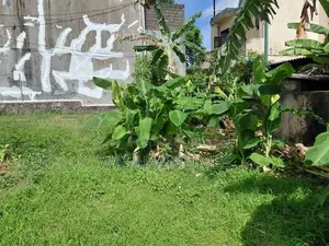 Super Land for Sale Boralesgamuwa