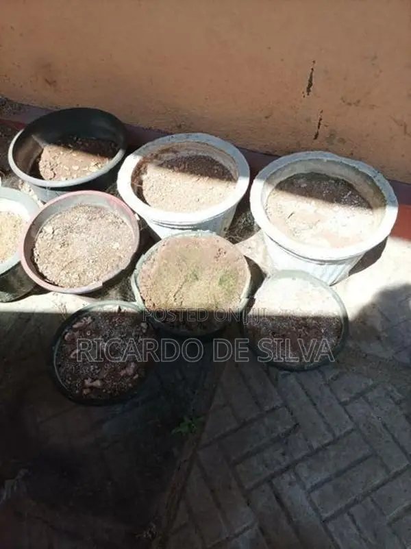 Flower Pots