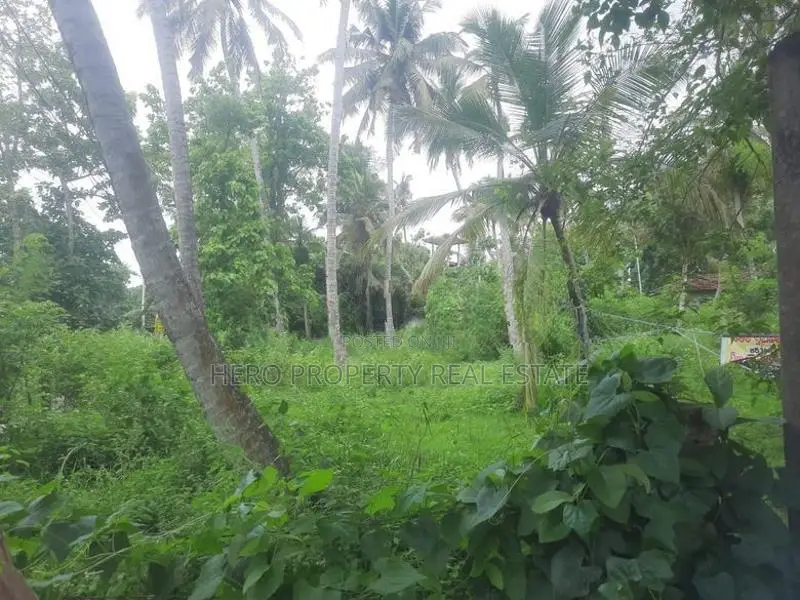 Bare Land for Sale in Katana
