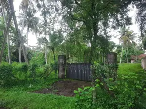 Bare Land for Sale in Katana