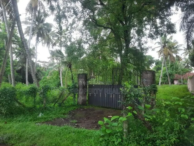 Bare Land for Sale in Katana