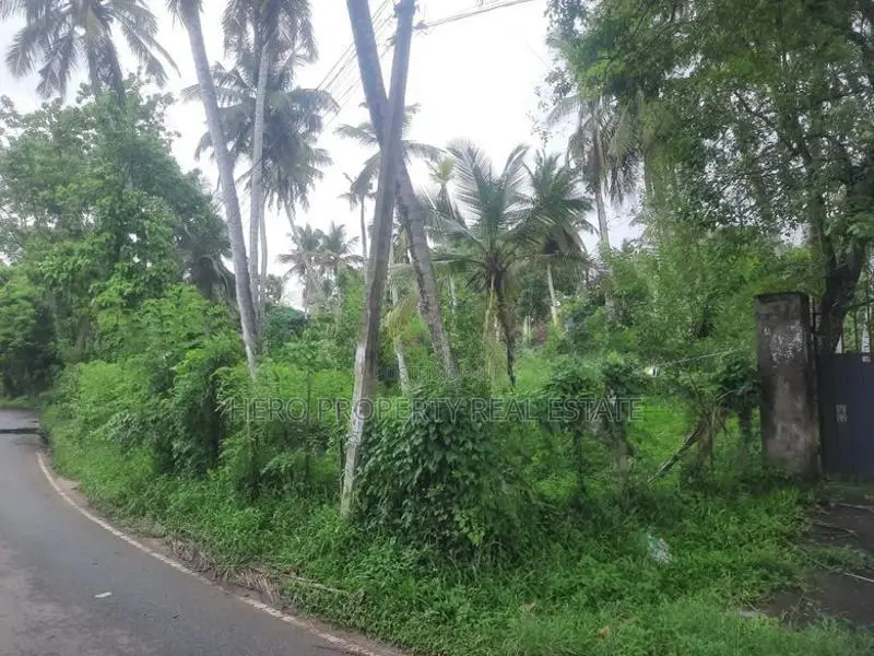 Bare Land for Sale in Katana