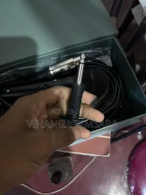 Ealsem ES-77K Microphone
