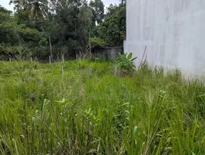 8.0 Perches | 6.5 6.7 Land in Thalawathugoda