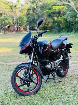 Bajaj Pulsar 150 2013
