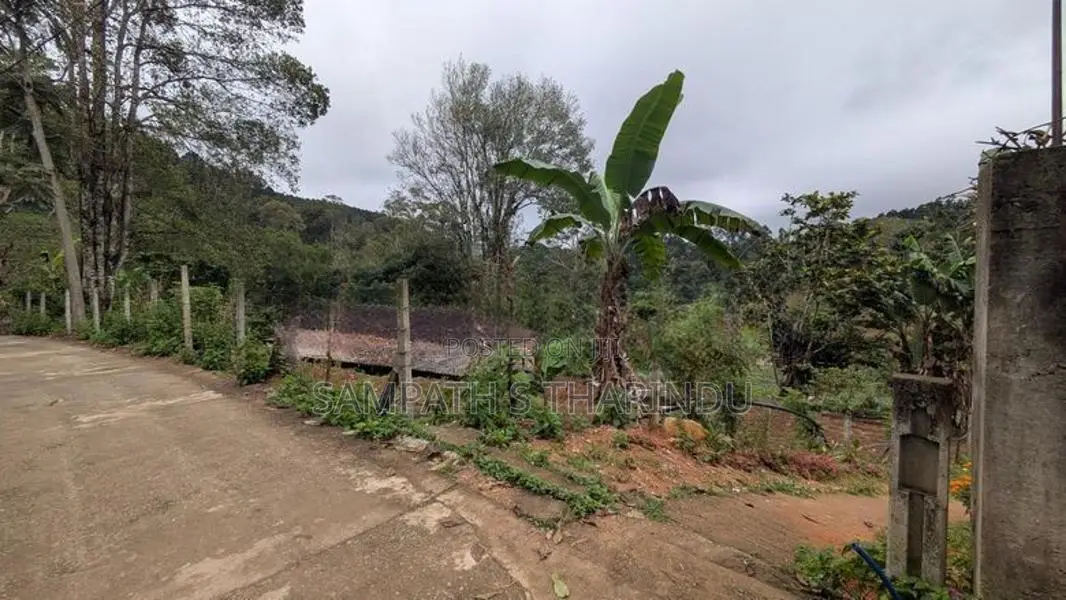 Ellagama Diyatalawa Land for Sale