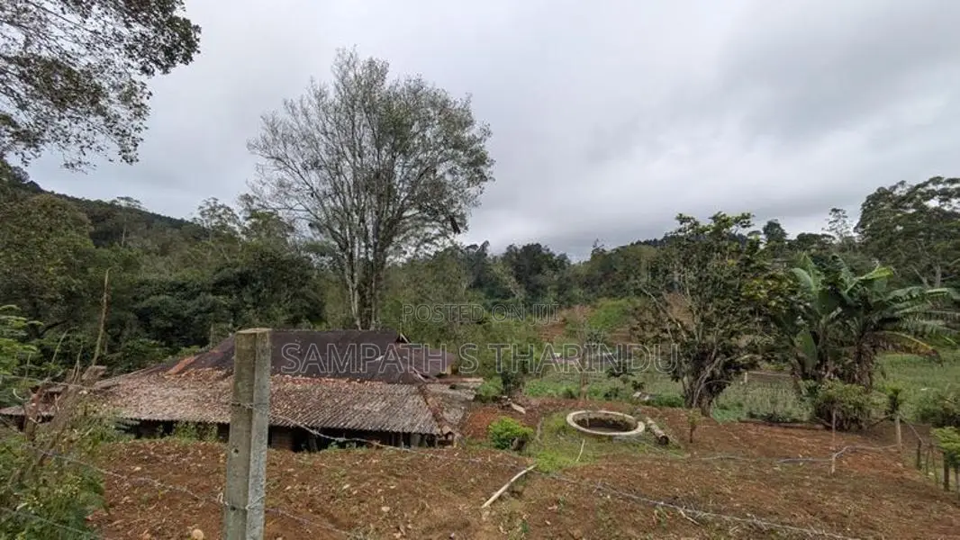 Ellagama Diyatalawa Land for Sale