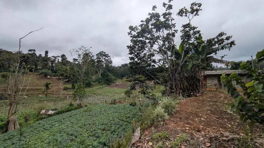 Ellagama Diyatalawa Land for Sale