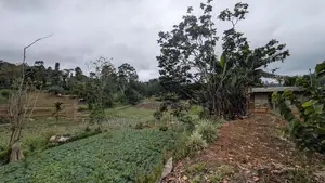 Ellagama Diyatalawa Land for Sale