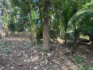 Highly Residential Land for Sale in Piliyandala Kesbewa