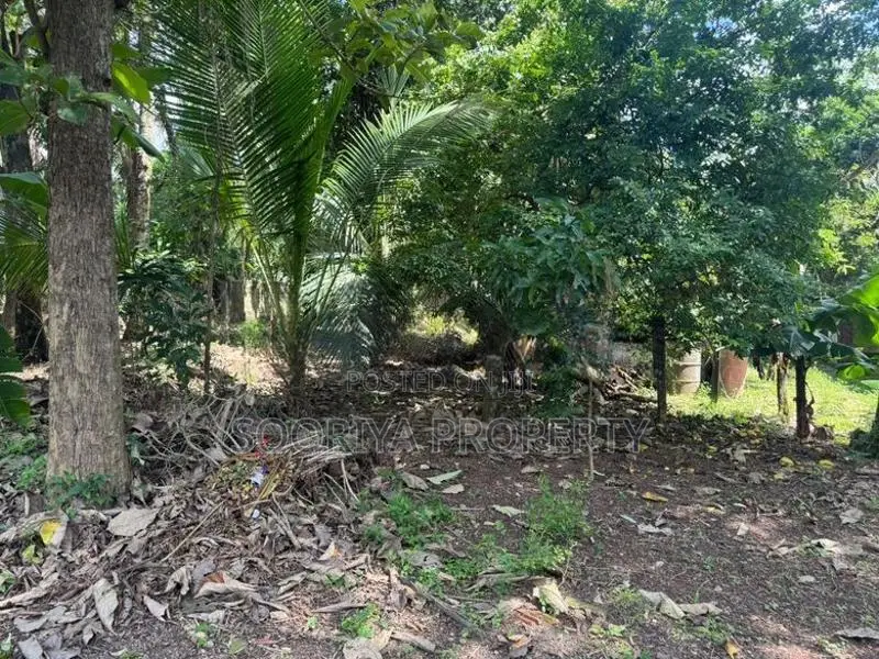 Highly Residential Land for Sale in Piliyandala Kesbewa