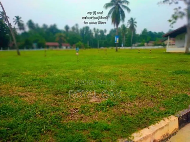 Land for Sale Dagonna