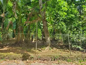 Prime Residential Land for Sale – Jayamalapura, Gampola