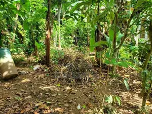 Prime Residential Land for Sale – Jayamalapura, Gampola