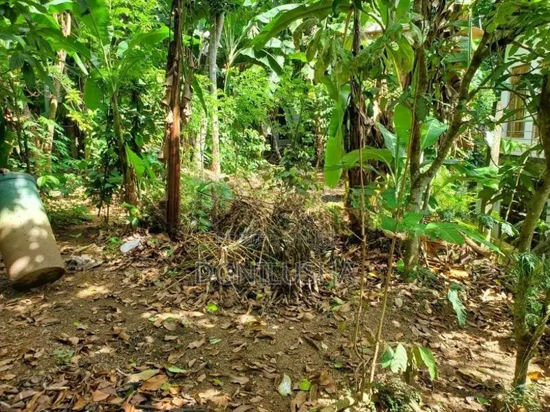 Prime Residential Land for Sale – Jayamalapura, Gampola