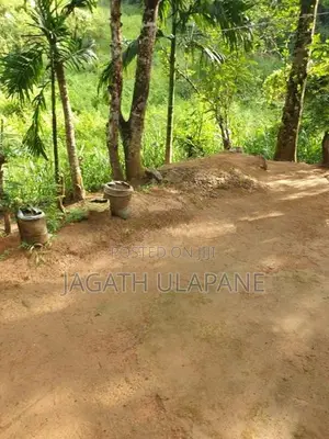Land with House for Sale - Udaperadeniya