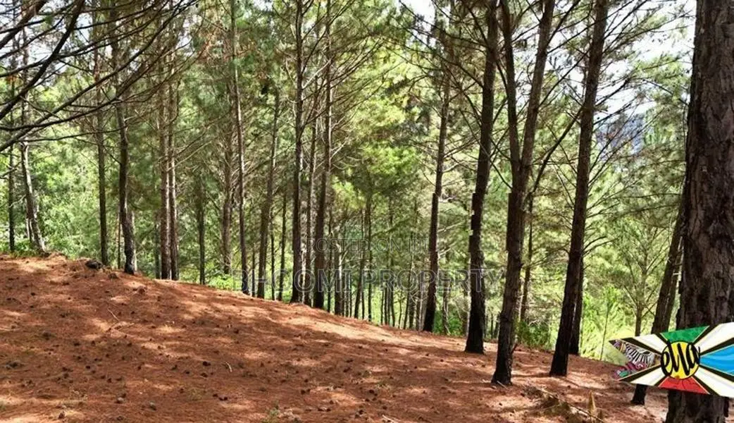 Land for sale in Kithalella