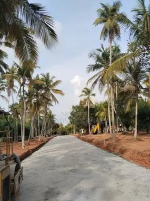 Land for sale in negombo