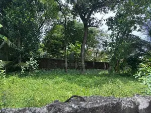 Makola Land for Sale