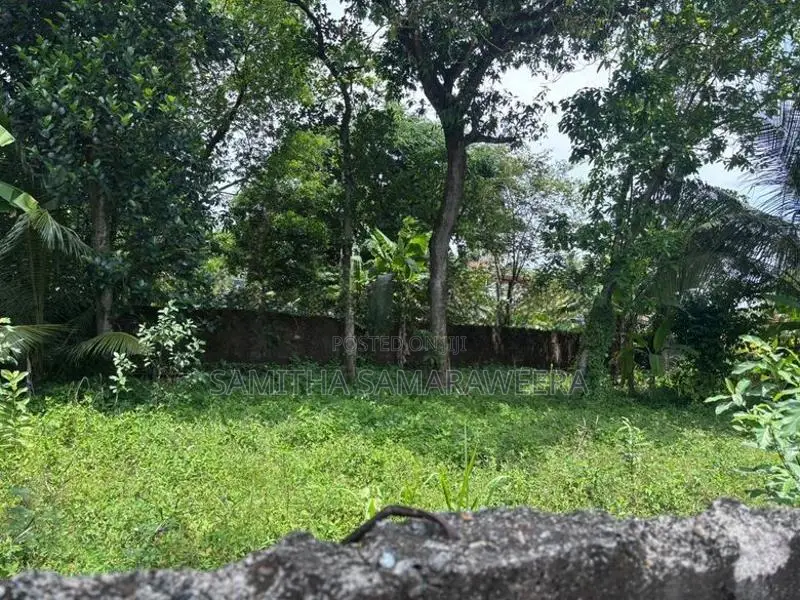 Makola Land for Sale