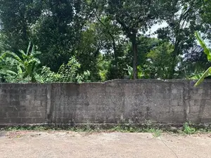 Makola Land for Sale