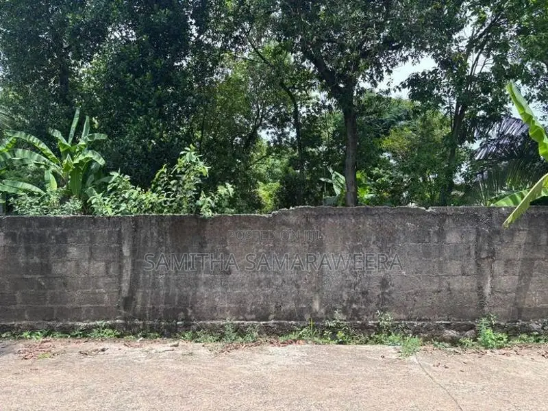 Makola Land for Sale