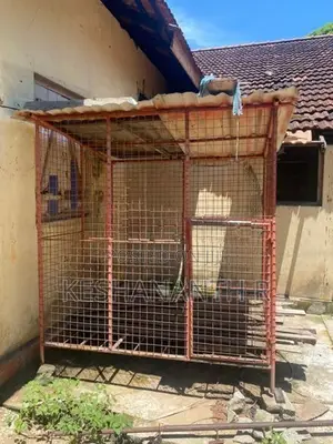 Dog Cage