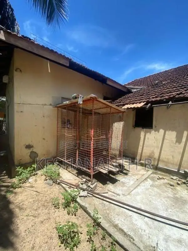 Dog Cage