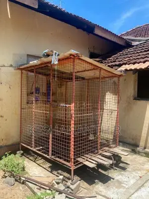 Dog Cage