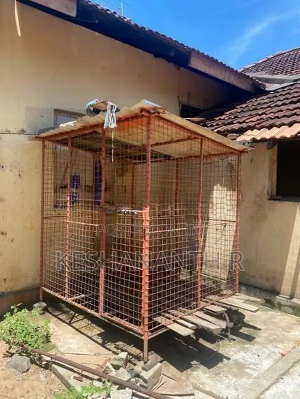 Dog Cage