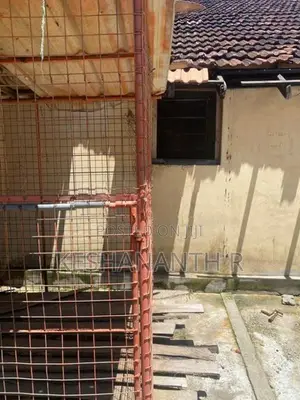 Dog Cage