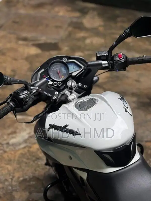 Bajaj Pulsar NS200 BS4 2020
