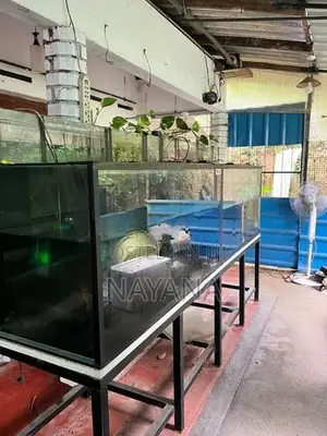 4ft Fish Tank