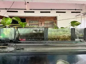 4ft Fish Tank