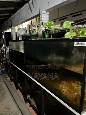 4ft Fish Tank