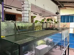 4ft Fish Tank