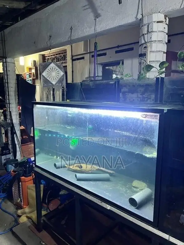 4ft Fish Tank