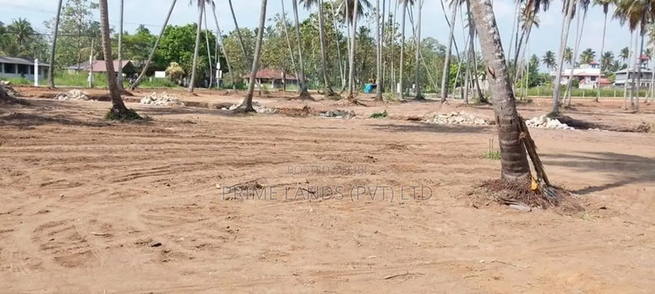 පැල්ලන්දෙනිය හන්දියම බිම් කොටස්