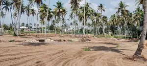 පැල්ලන්දෙනිය හන්දියම බිම් කොටස්