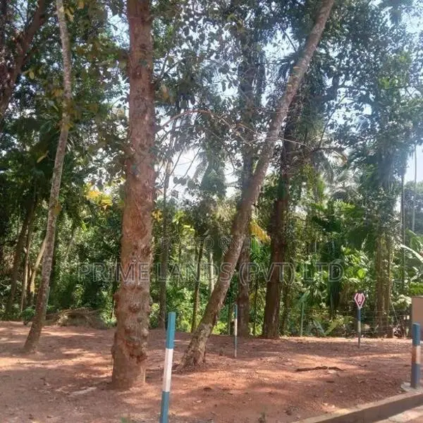 Kadawatha Land for Sale