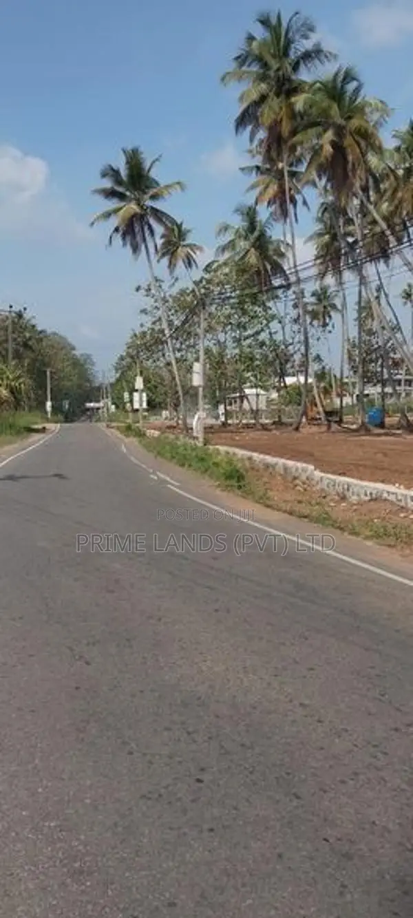 පැල්ලන්දෙනිය හන්දියම බිම් කොටස්