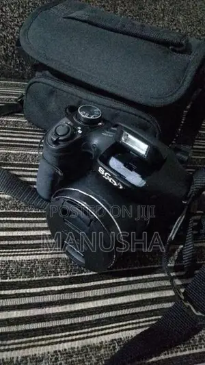 Sony DSC H300 Camera