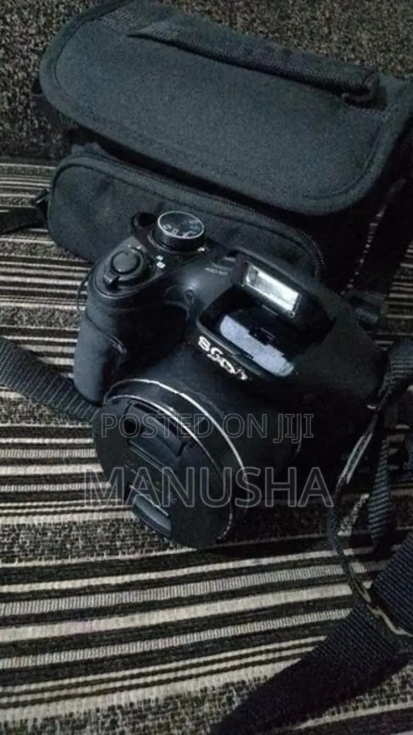 Sony DSC H300 Camera