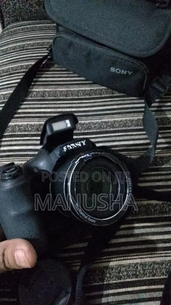 Sony DSC H300 Camera