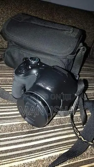 Sony DSC H300 Camera